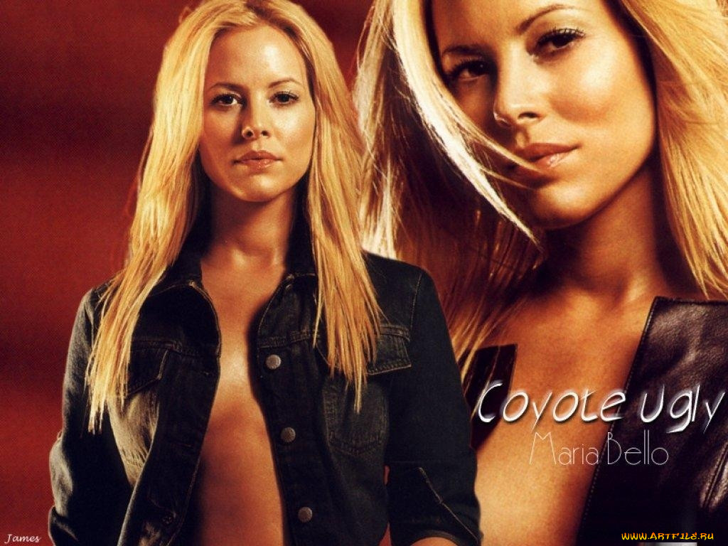 coyote, ugly, , 